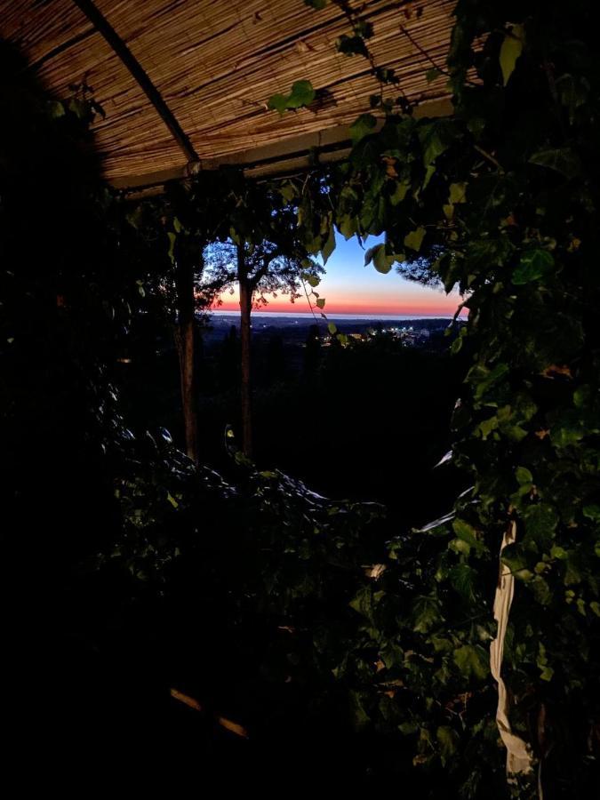 B&B Villa Il Poggetto Вентурина Экстерьер фото