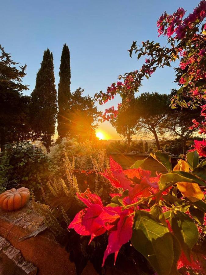 B&B Villa Il Poggetto Вентурина Экстерьер фото