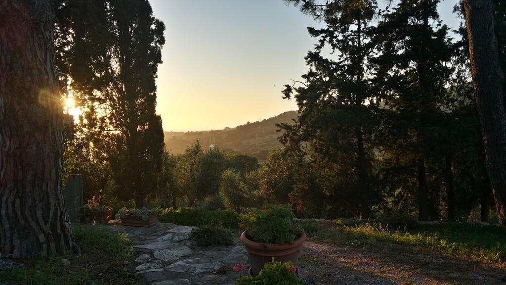 B&B Villa Il Poggetto Вентурина Экстерьер фото
